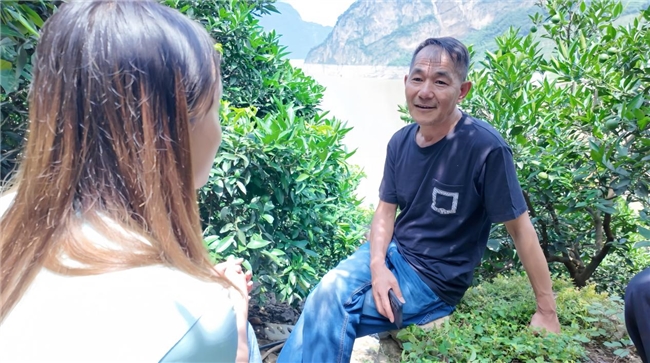 买球平台